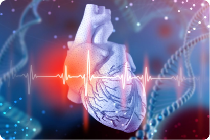 Heart MRI